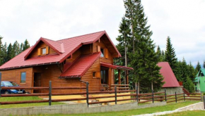 Mountain Family House Zara Žabljak